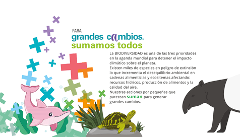 Escritorio Ecoplaneta